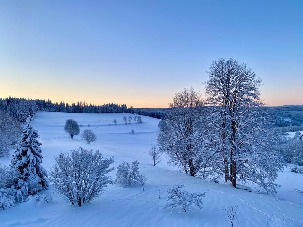 Gaestehaus Steiert Fewo Kuhbergblick Lenzkirch Dış mekan fotoğraf
