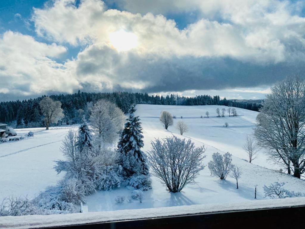 Gaestehaus Steiert Fewo Kuhbergblick Lenzkirch Dış mekan fotoğraf