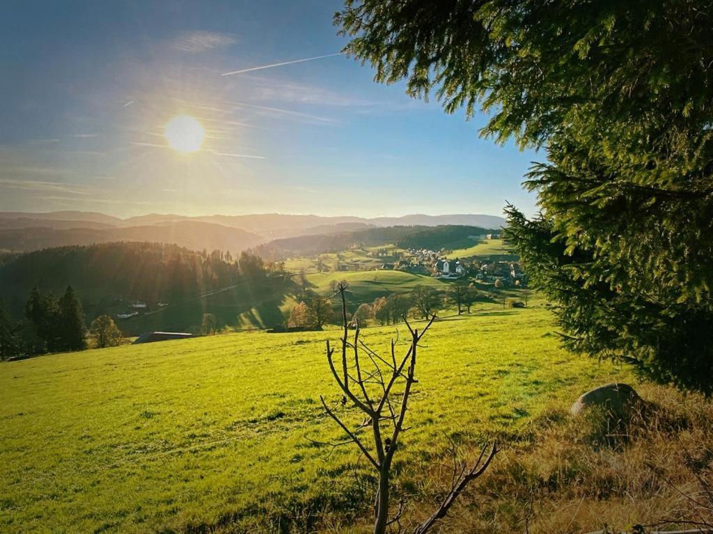 Gaestehaus Steiert Fewo Kuhbergblick Lenzkirch Dış mekan fotoğraf