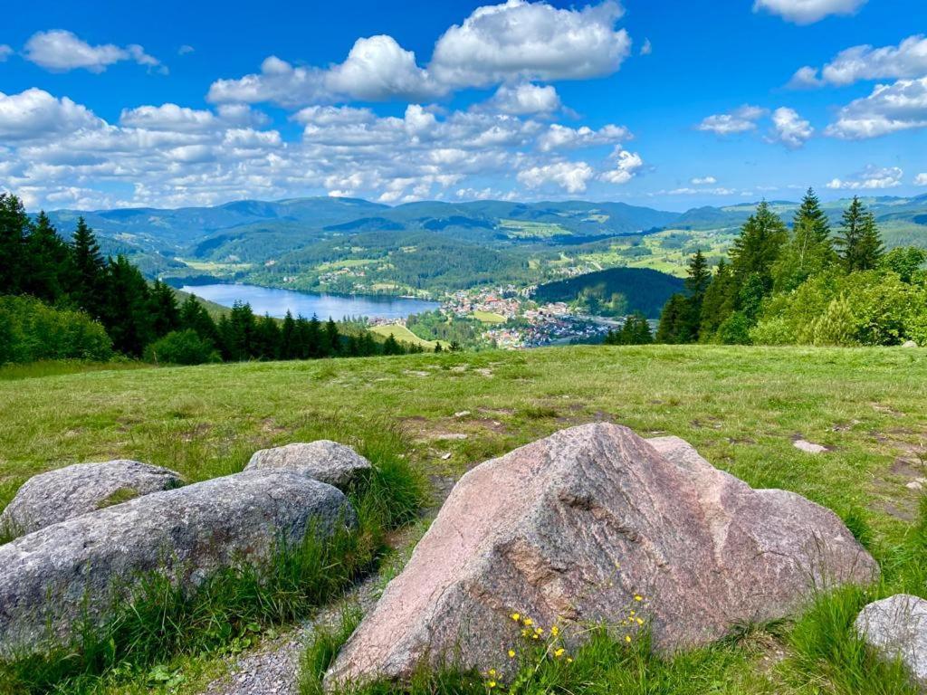 Gaestehaus Steiert Fewo Kuhbergblick Lenzkirch Dış mekan fotoğraf